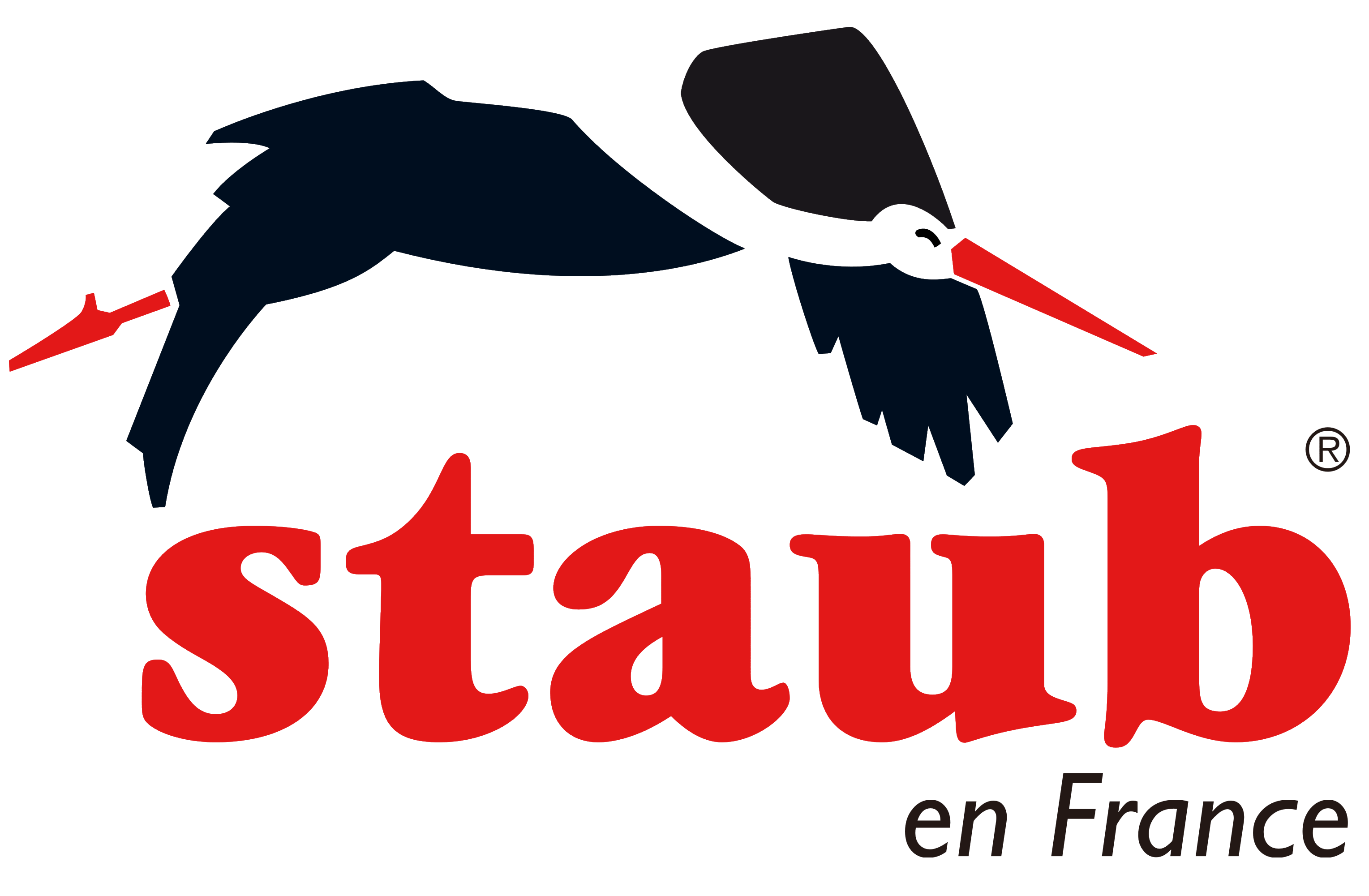 Логотип Staub