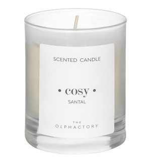 Свеча ароматическая the olphactory, cosy, santal (новая), 40 ч 